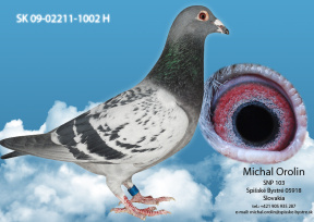 Maximalizova�